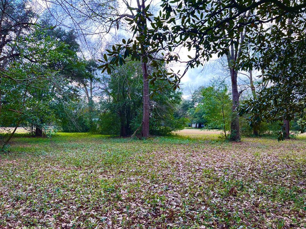 0 Brodie Street Springfield, SC 29146 - Photo 4 of 4 Nesseshwy3