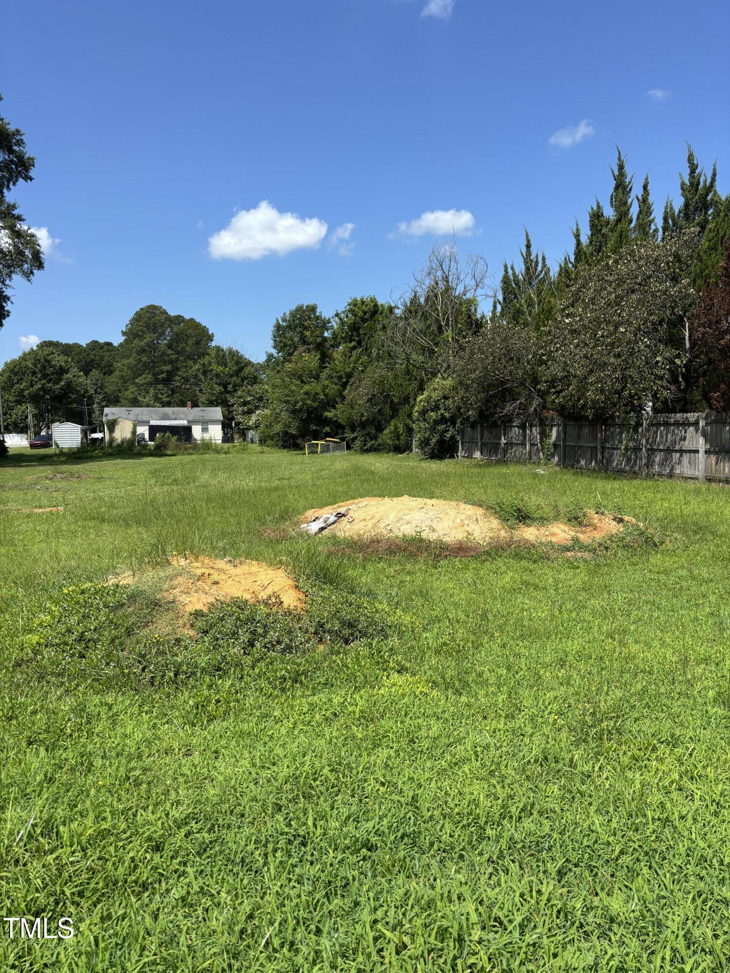 14 East Peedin Road Smithfield, NC 27577 - Photo 5 of 5 IMG_4910