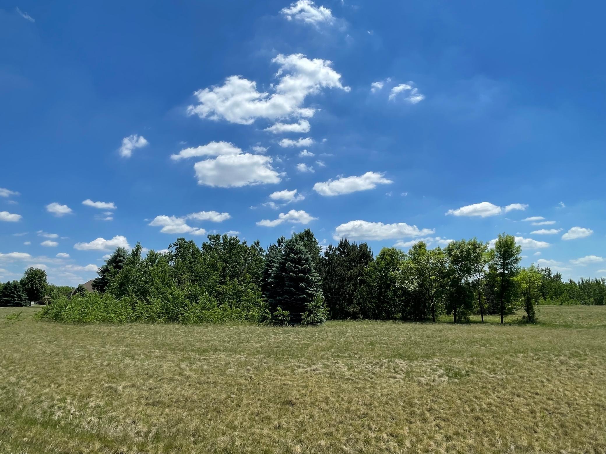 Tbd Turtle Creek Circle Cold Spring, MN 56320 - Photo 5 of 16