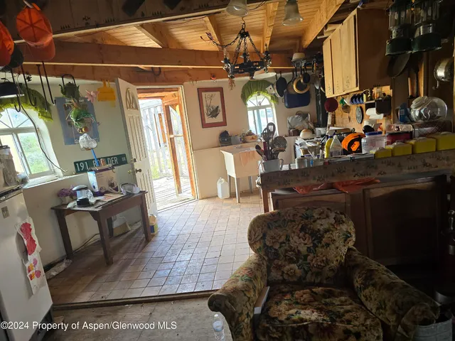 a view of a bunch of trees in background