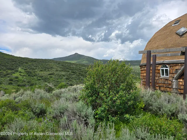 a view of a lush green forest with lots of trees