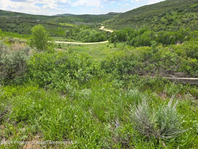 a view of a city with lush green forest