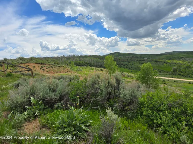 a view of a big yard with lots of green space