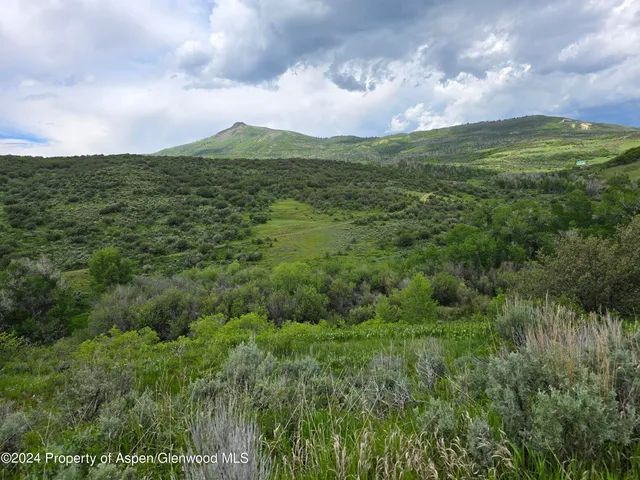 a view of a garden with a building in the background