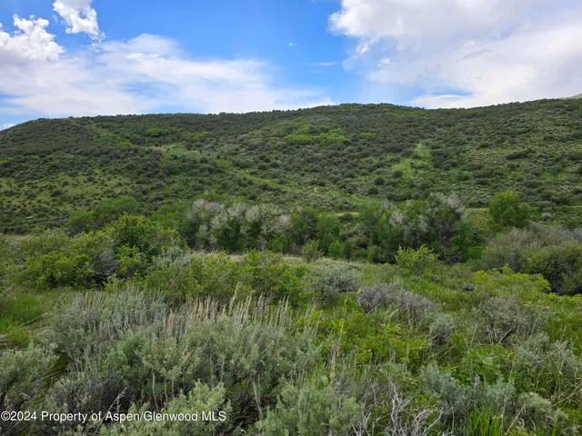 a view of a grassy field with mountains in the background