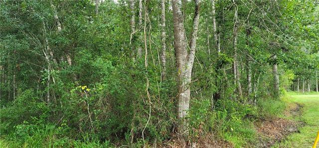 Cloverland Road Lacombe, LA 70445 - Photo 2 of 6 Gallery Image 2