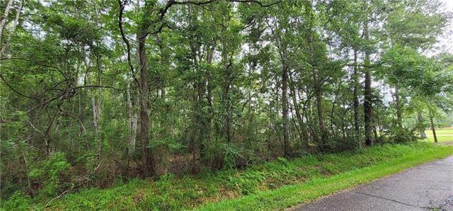 Cloverland Road Lacombe, LA 70445 - Photo 3 of 6 Gallery Image 3