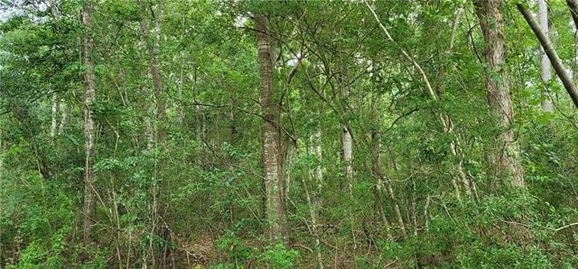 Cloverland Road Lacombe, LA 70445 - Photo 4 of 6 Gallery Image 4