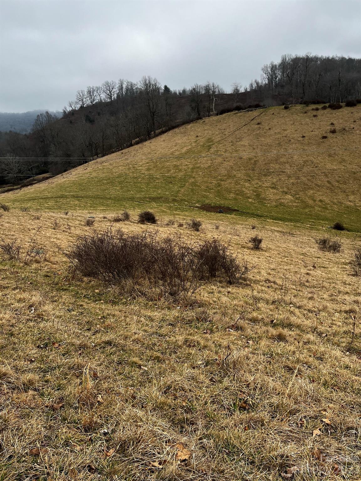 Tbd Poplar Grove Road Boone, NC 28607 - Photo 42 of 48