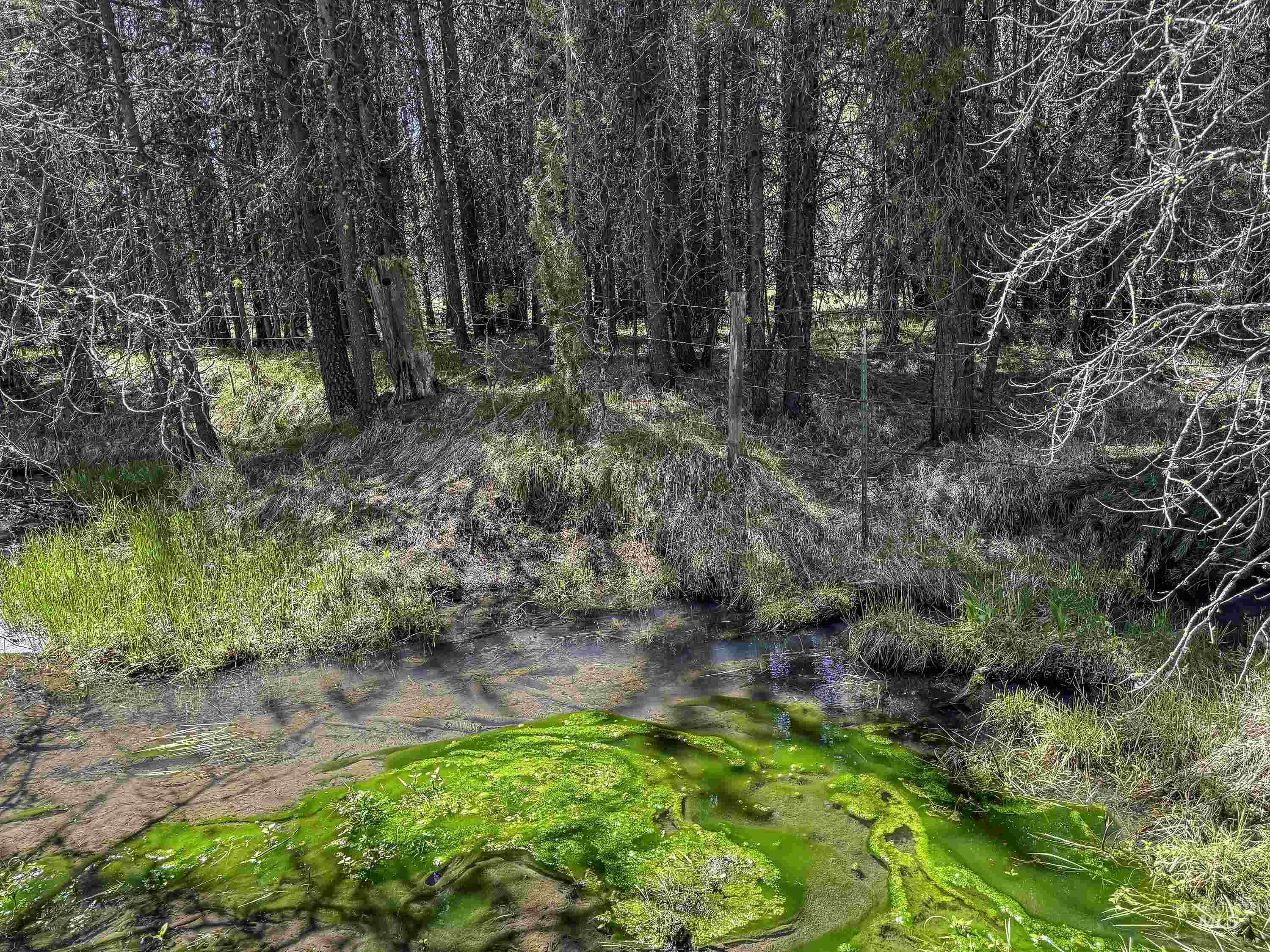 Tbd Deer Creek Road Winchester, ID 83555 - Photo 14 of 39