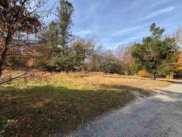 a backyard of a house with lots of green space