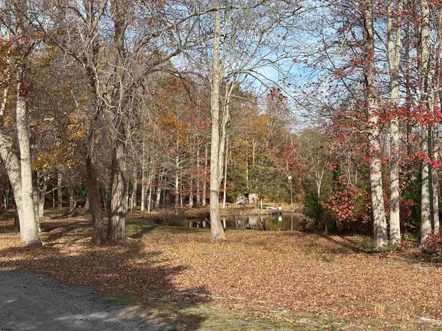 a view of a bench in the river near a lake