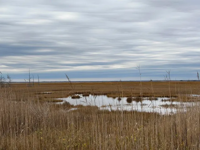 a black and white photo of a living room
