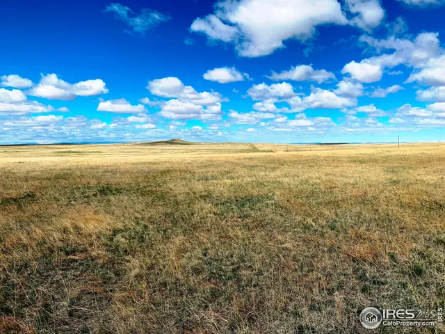 a view of outside space and yard
