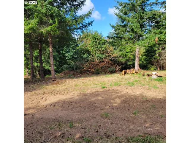 $325,000 | Peter Street, Unit 1S, Warren, OR 97053