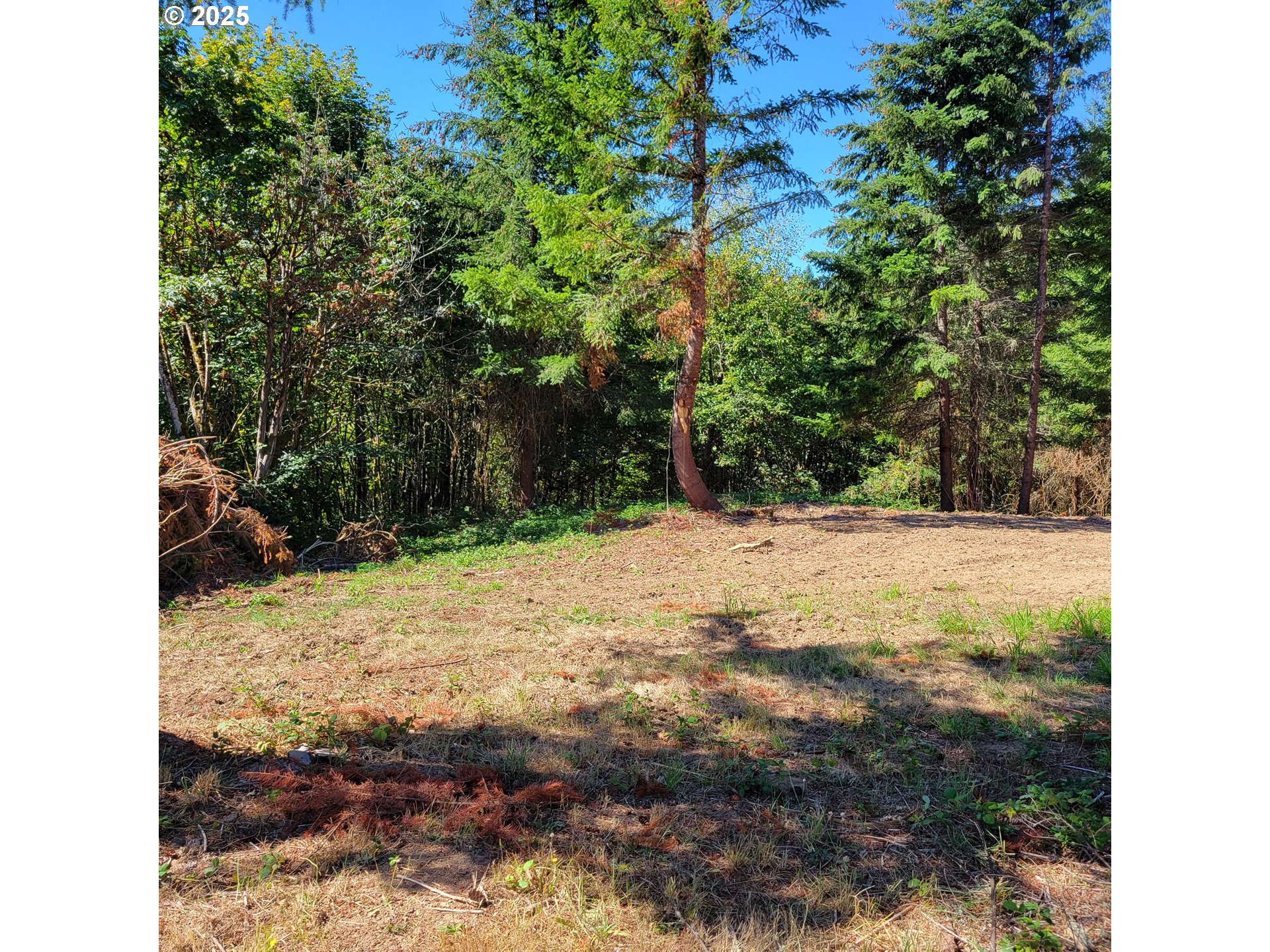 Peter Street, Unit 1S Warren, OR 97053 - Photo 4 of 6