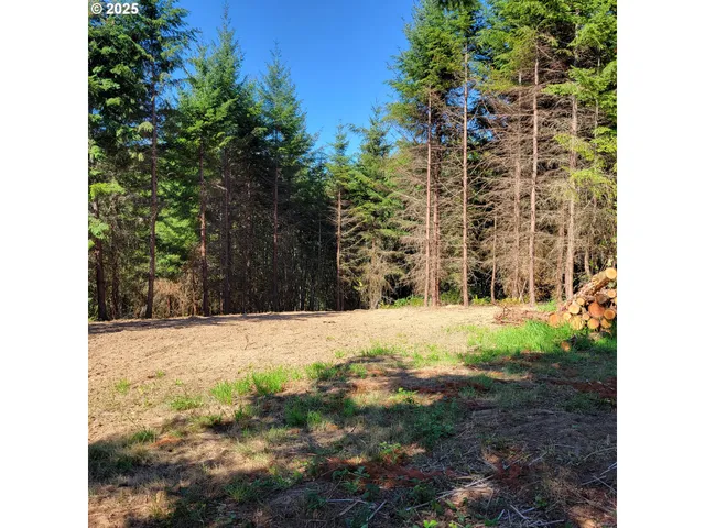 $325,000 | Peter Street, Unit 1S, Warren, OR 97053