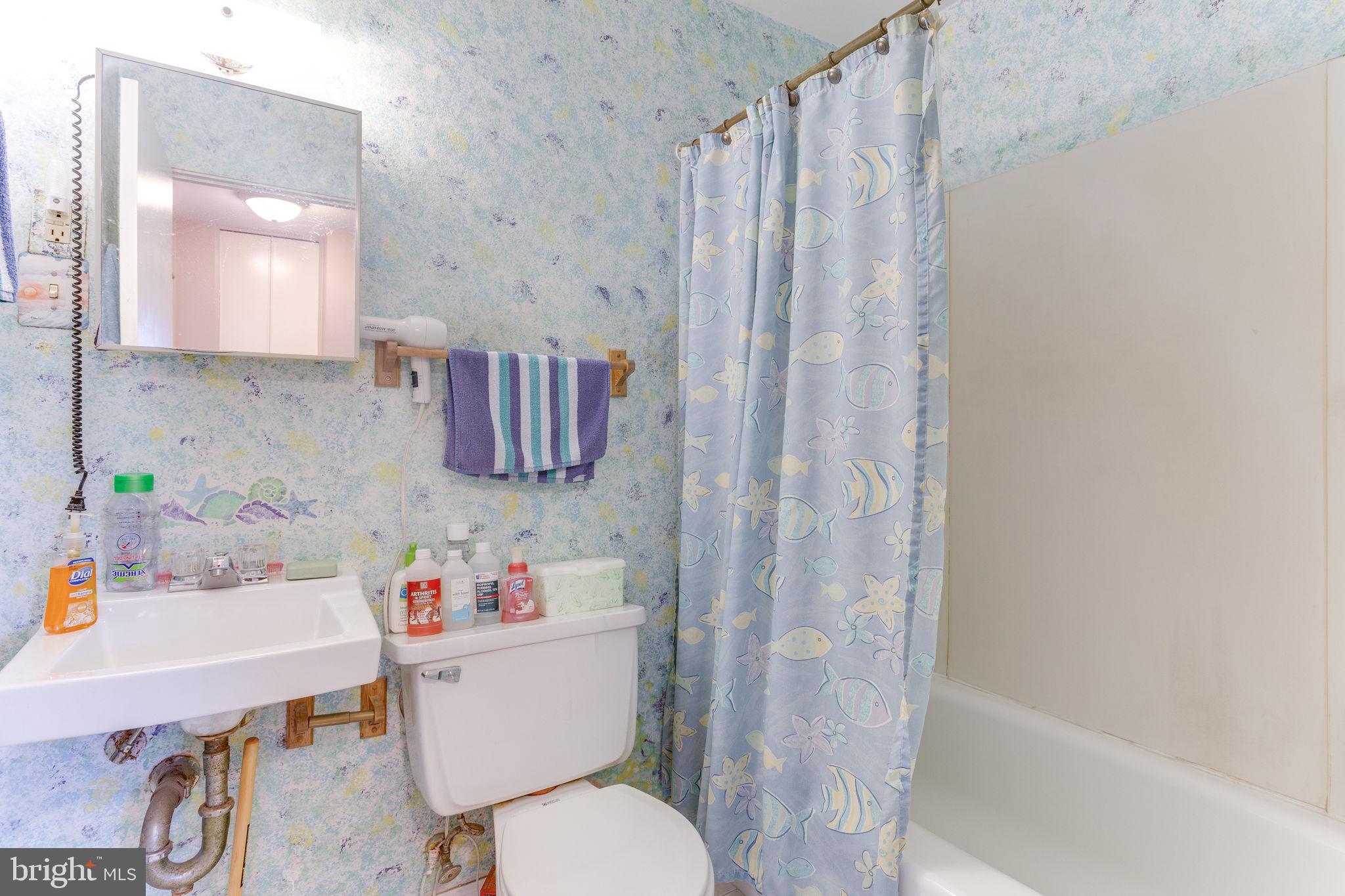 202 North Sycamore Road Sterling, VA 20164 - Photo 12 of 38 Bathroom #2