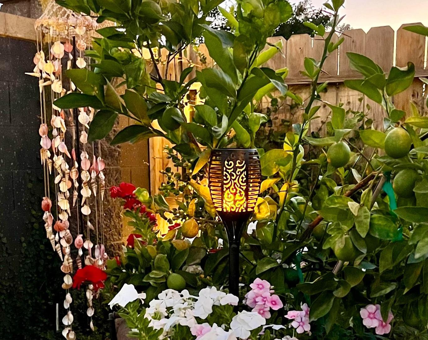 3048 Poe Avenue Clovis, CA 93619 - Photo 50 of 56 a bunch of flowers