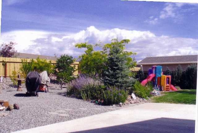 2991 Del Rio Lane Minden, NV 89423 - Photo 3 of 9 Photo 3