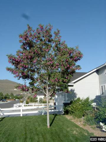 2991 Del Rio Lane Minden, NV 89423 - Photo 4 of 9 Photo 4