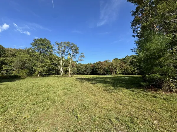 a view of a yard
