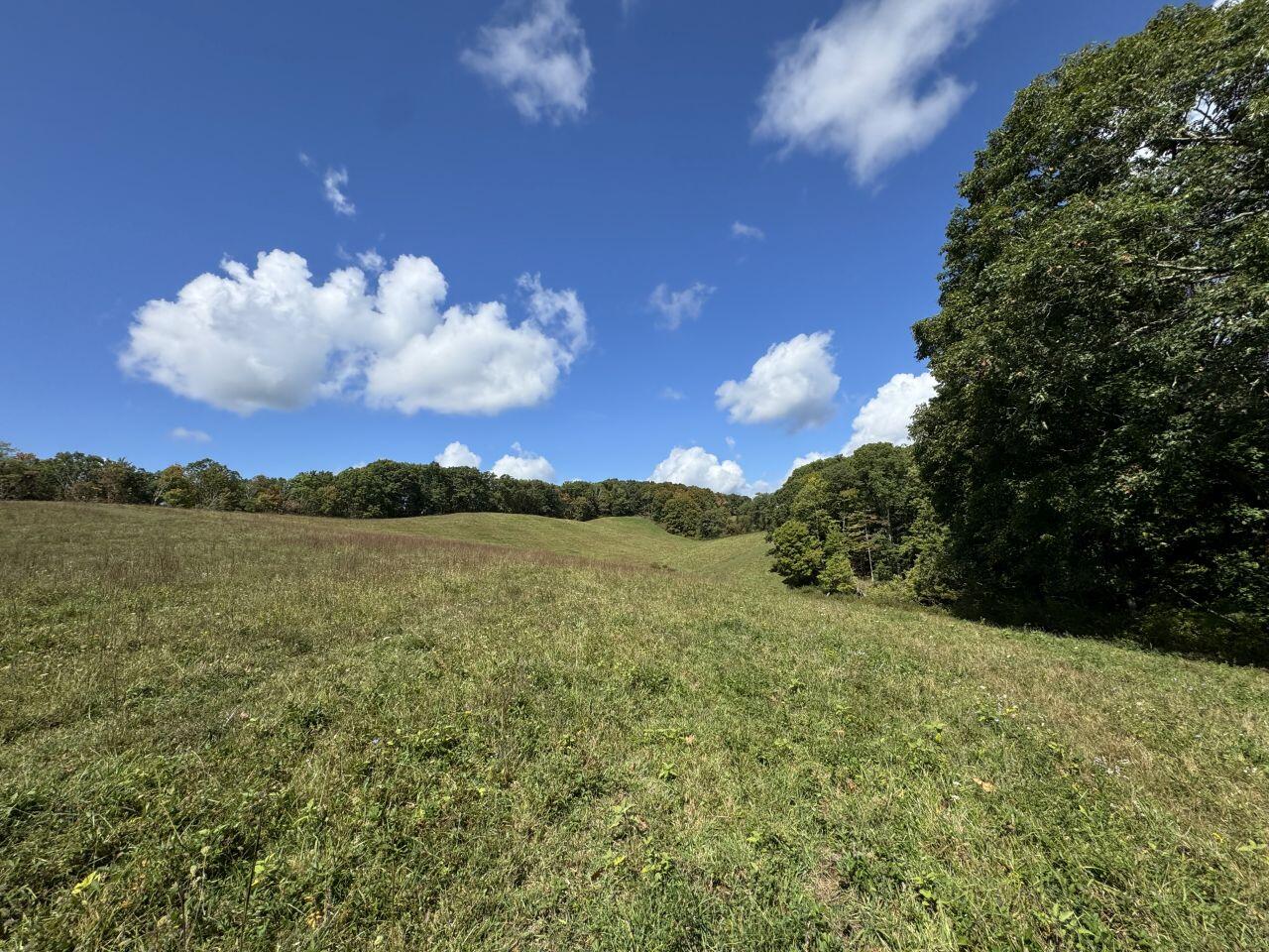 0 Kates Mountain Road White Sulphur Springs, WV 24983 - Photo 15 of 28 a view of lake with mountain