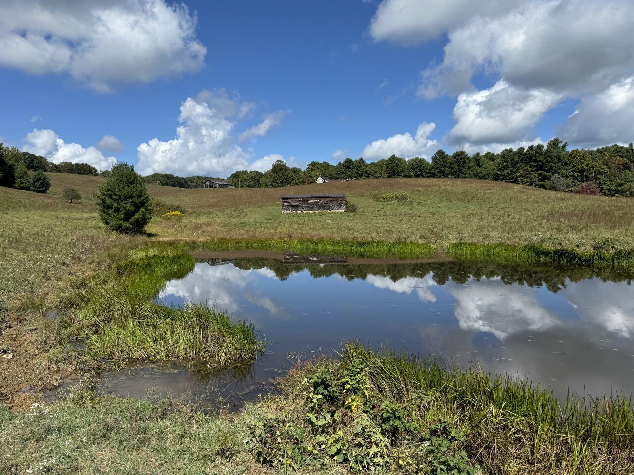 0 Kates Mountain Road White Sulphur Springs, WV 24983 - Photo 16 of 28 a view of a lake with houses in the back