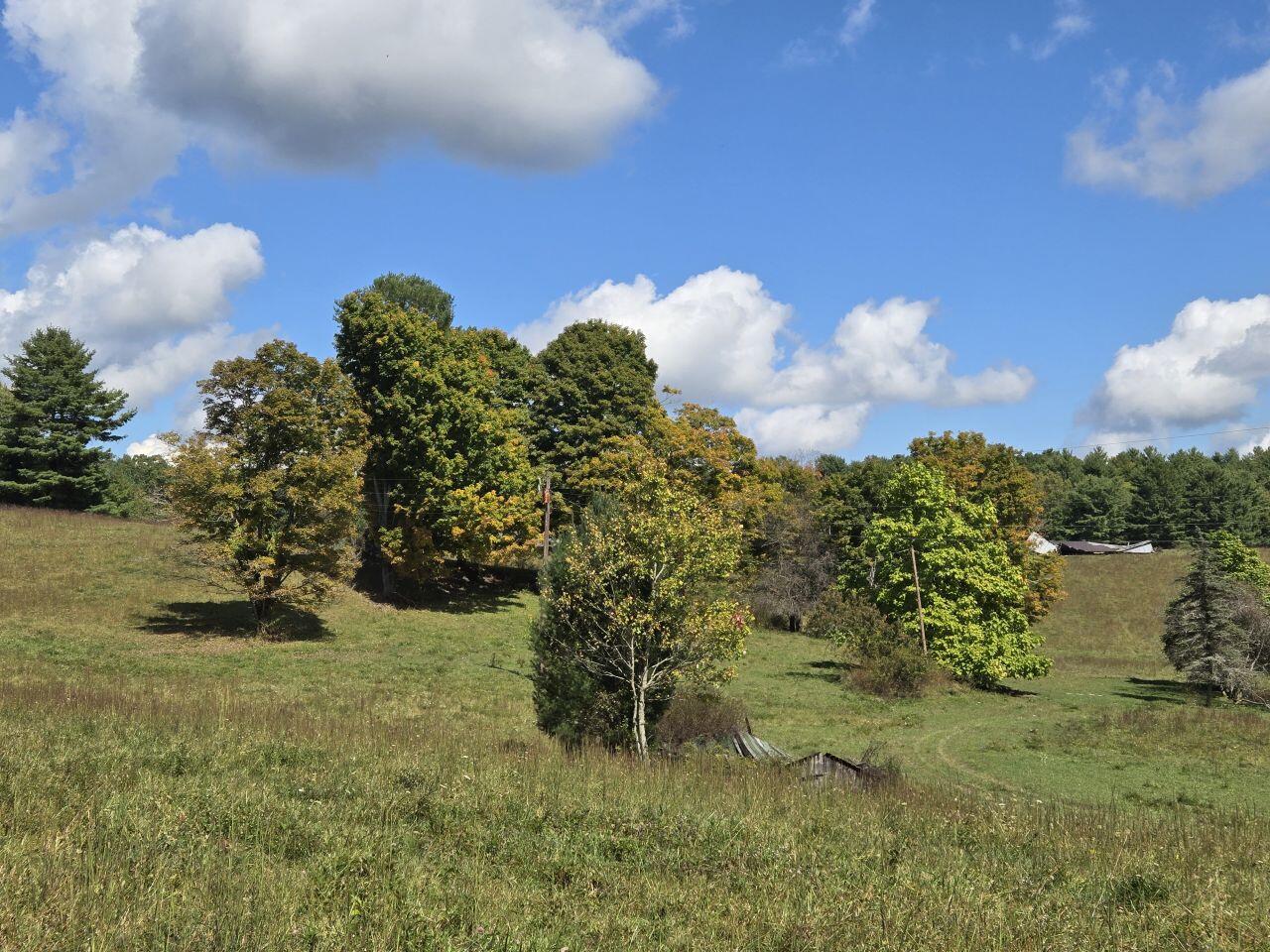 0 Kates Mountain Road White Sulphur Springs, WV 24983 - Photo 25 of 28 a view of a green field with lots of green space