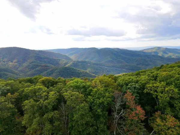 a view of a backyard with green space