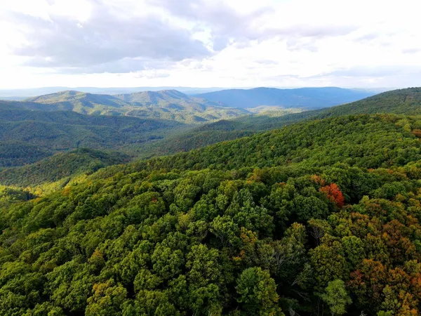 a view of a lush green forest with mountains in the background