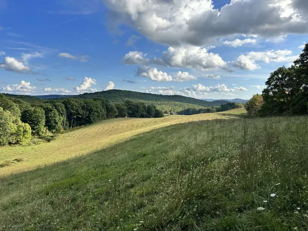 a view of a lake from a yard