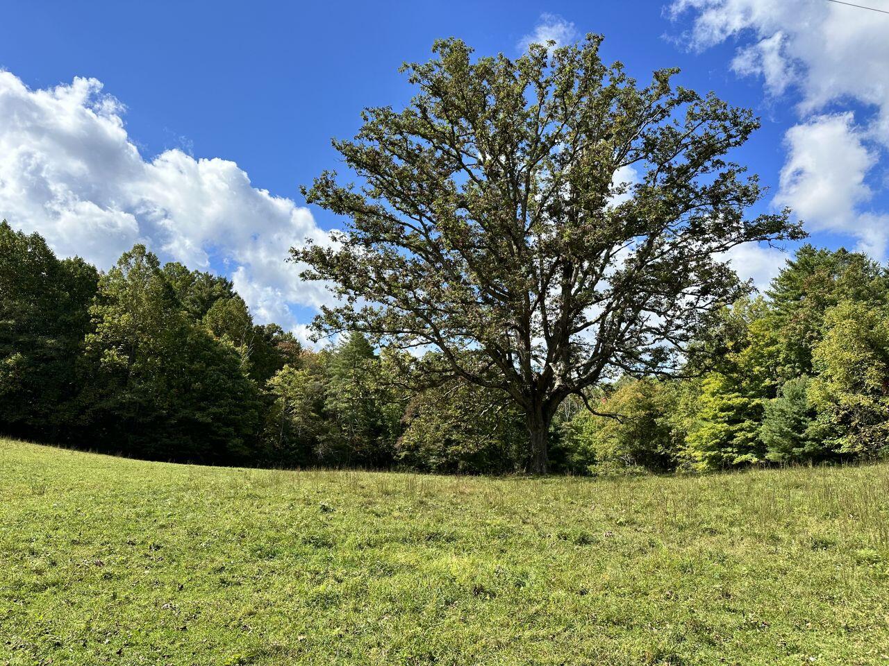 0 Kates Mountain Road White Sulphur Springs, WV 24983 - Photo 9 of 28 a view of outdoor space and yard
