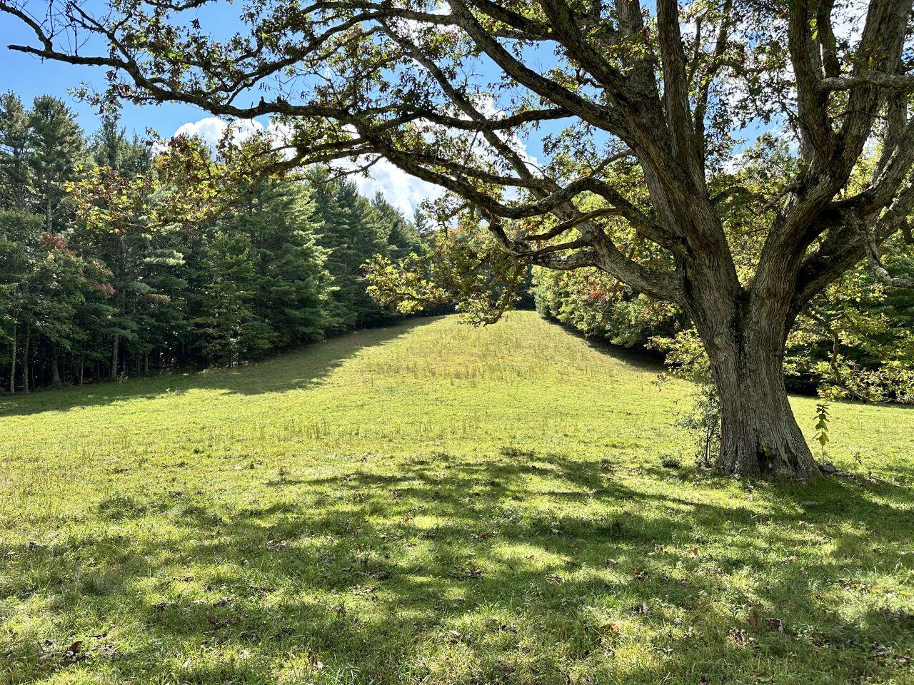 0 Kates Mountain Road White Sulphur Springs, WV 24983 - Photo 10 of 28