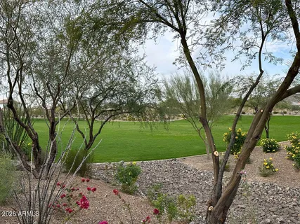 a view of a garden with a tree
