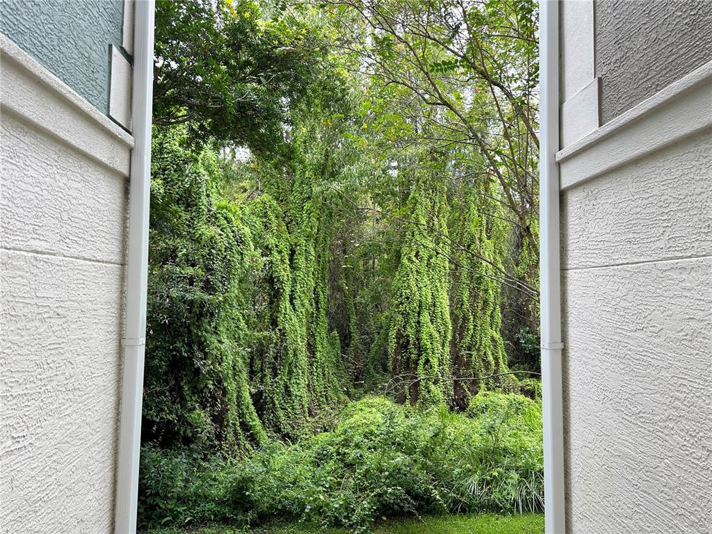 12843 Madison Pointe Circle, Unit 201 Orlando, FL 32821 - Photo 27 of 53 a view of a garden from a window