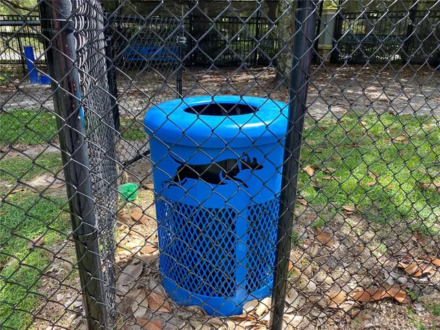 a view of a backyard with a slide