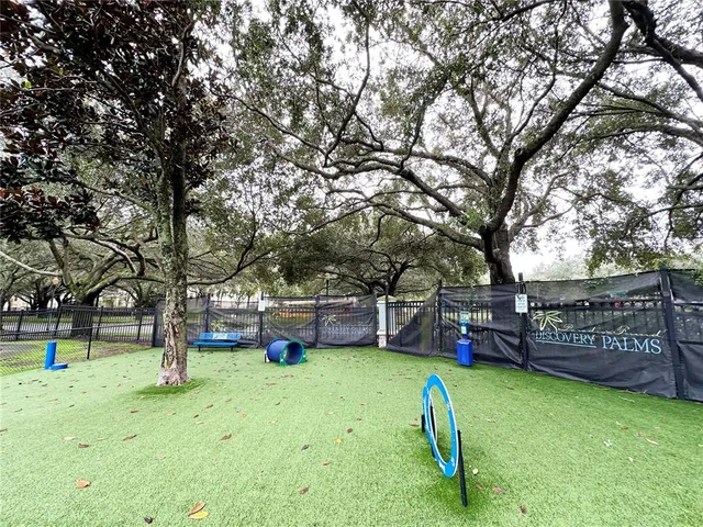 a view of a park with large trees
