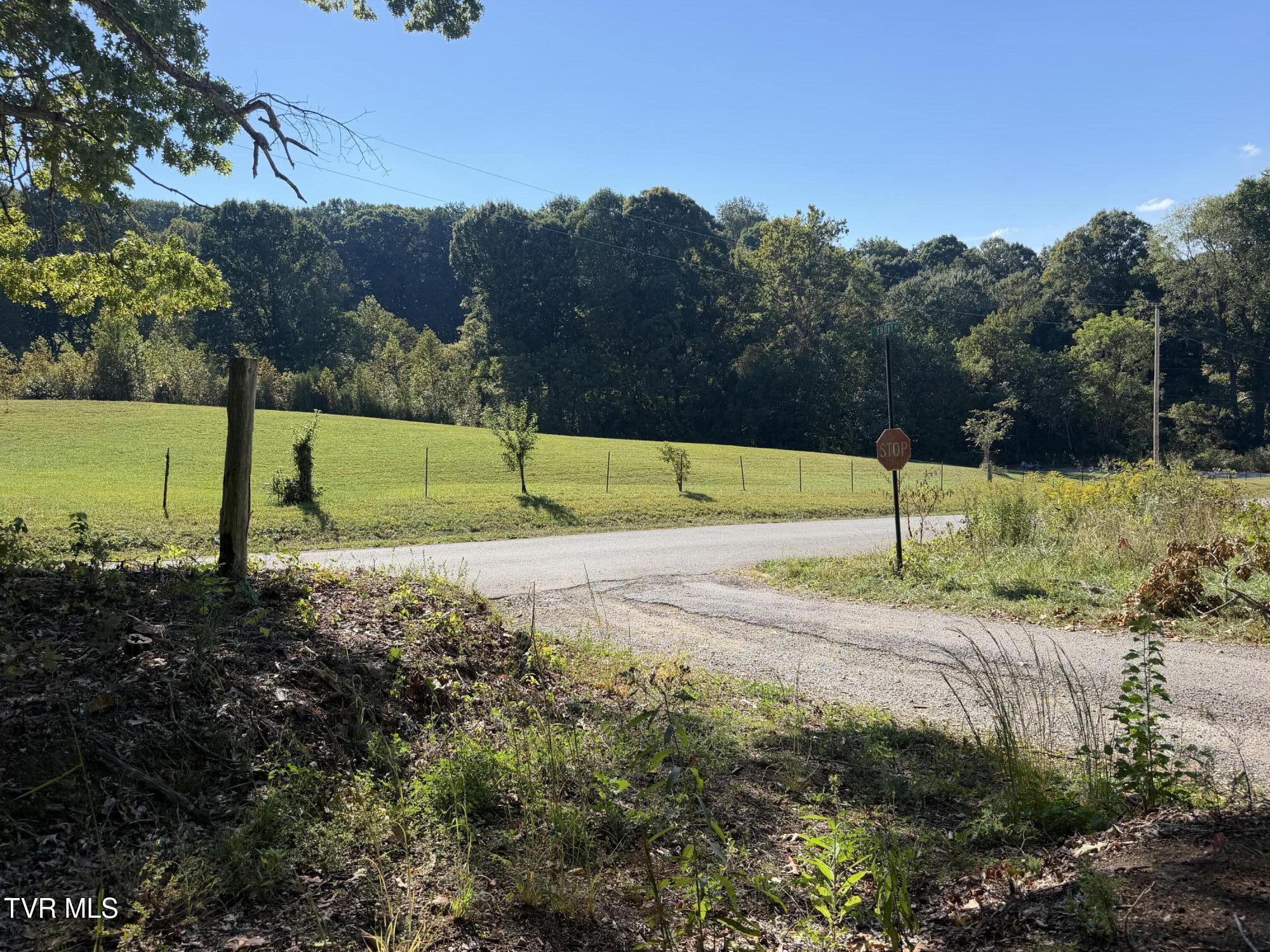 Tbd Short Road Chuckey, TN 37641 - Photo 5 of 16 IMG_7269