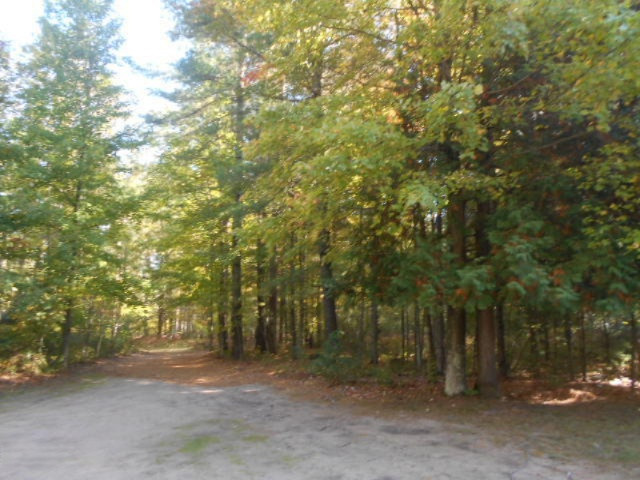 5787 Tyndal Road Branch, MI 49402 - Photo 21 of 37 DSCN8180