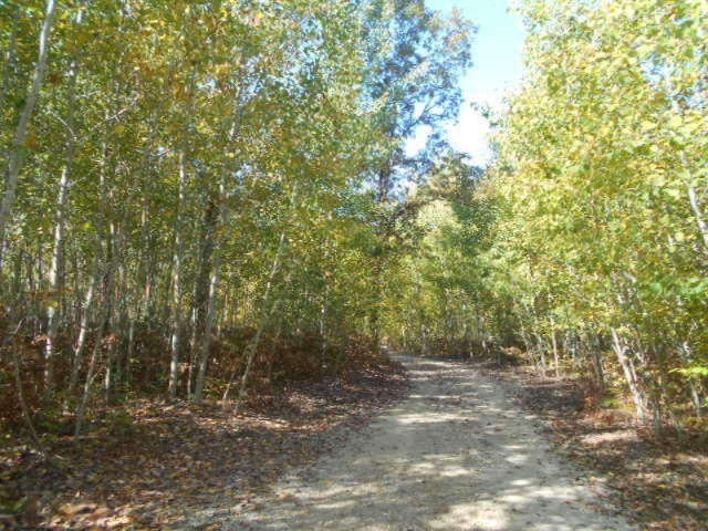 5787 Tyndal Road Branch, MI 49402 - Photo 22 of 37 DSCN8183