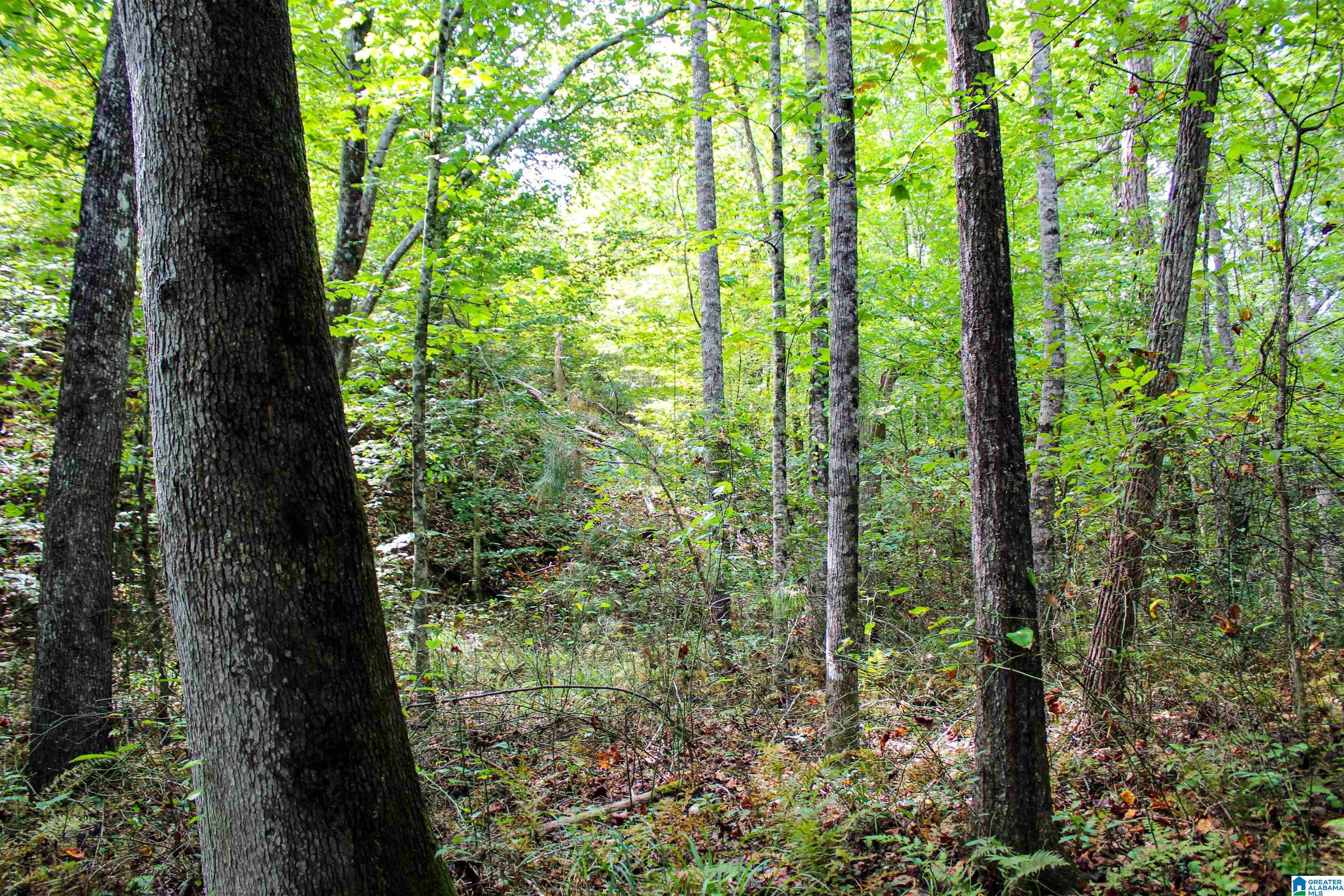 1 Highway 13, Unit 1 Berry, AL 35546 - Photo 17 of 52