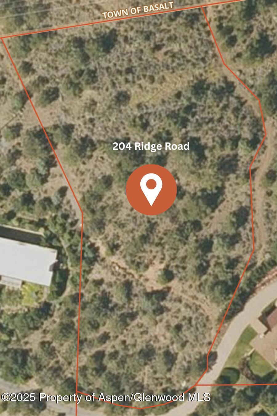 204 Ridge Road Basalt, CO 81621 - Photo 4 of 12 a view of a dry yard