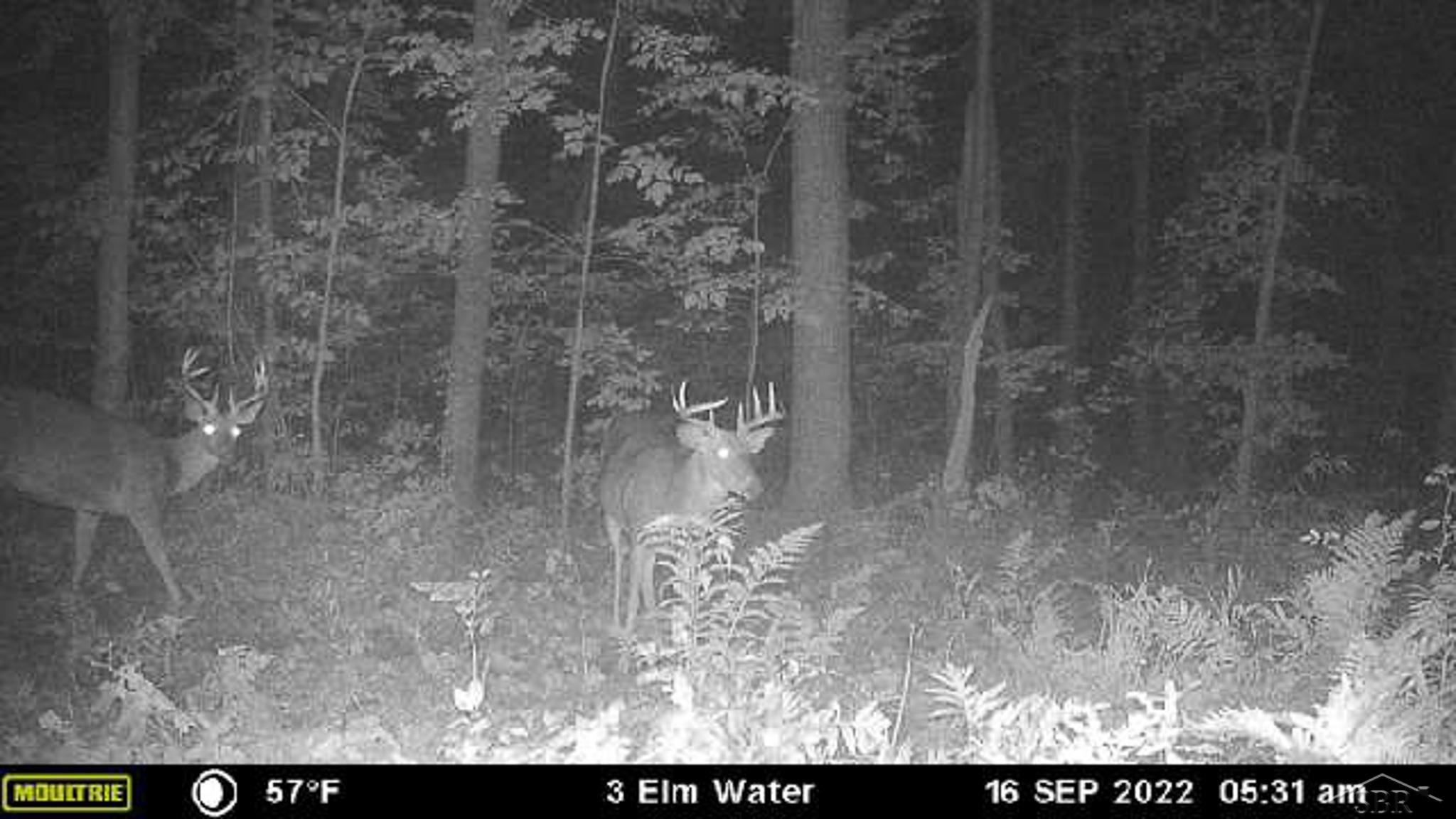 V/l East Bevens Road Caro, MI 48723 - Photo 34 of 41