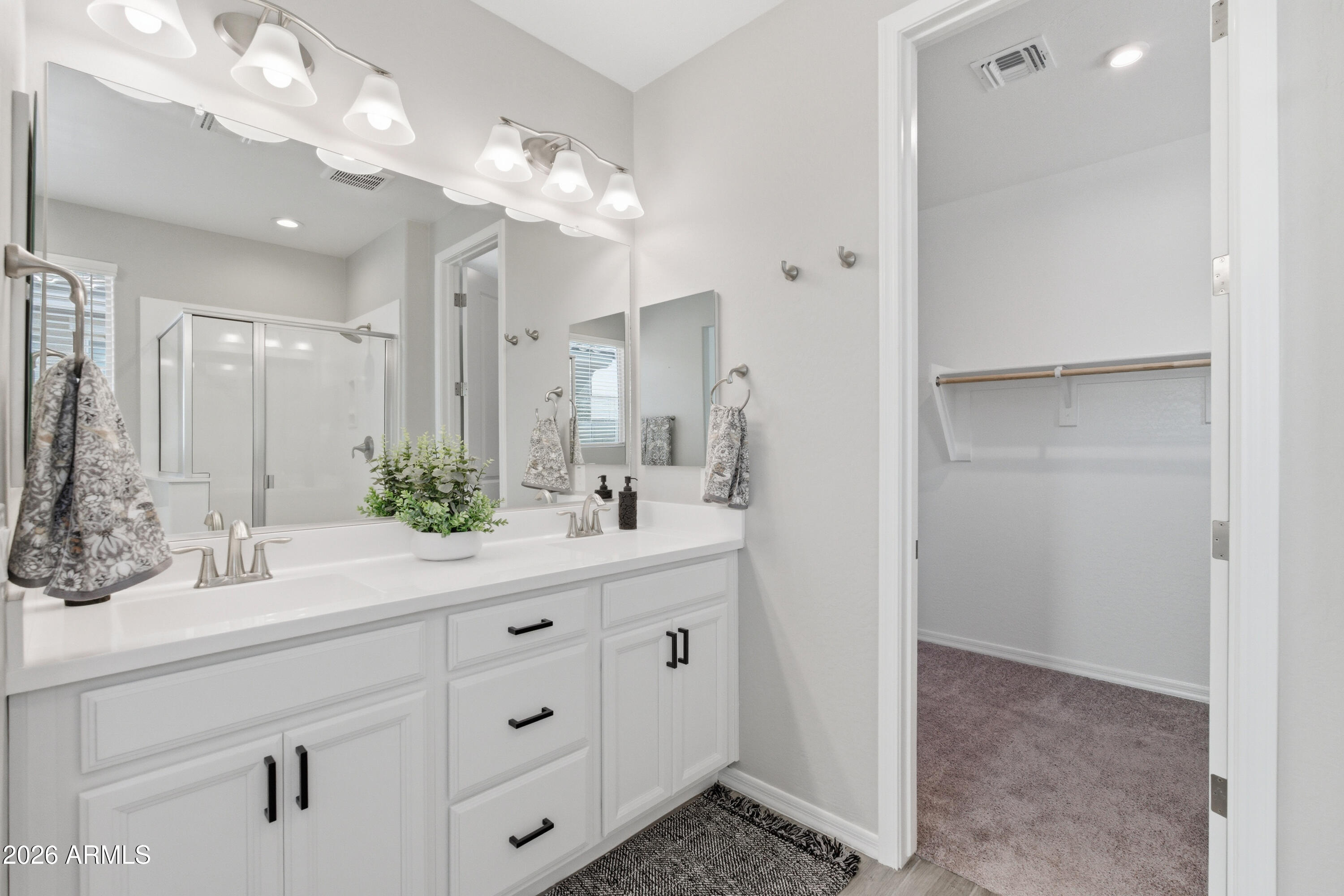 22445 East Marsh Road Queen Creek, AZ 85142 - Photo 37 of 71 Primary Bathroom