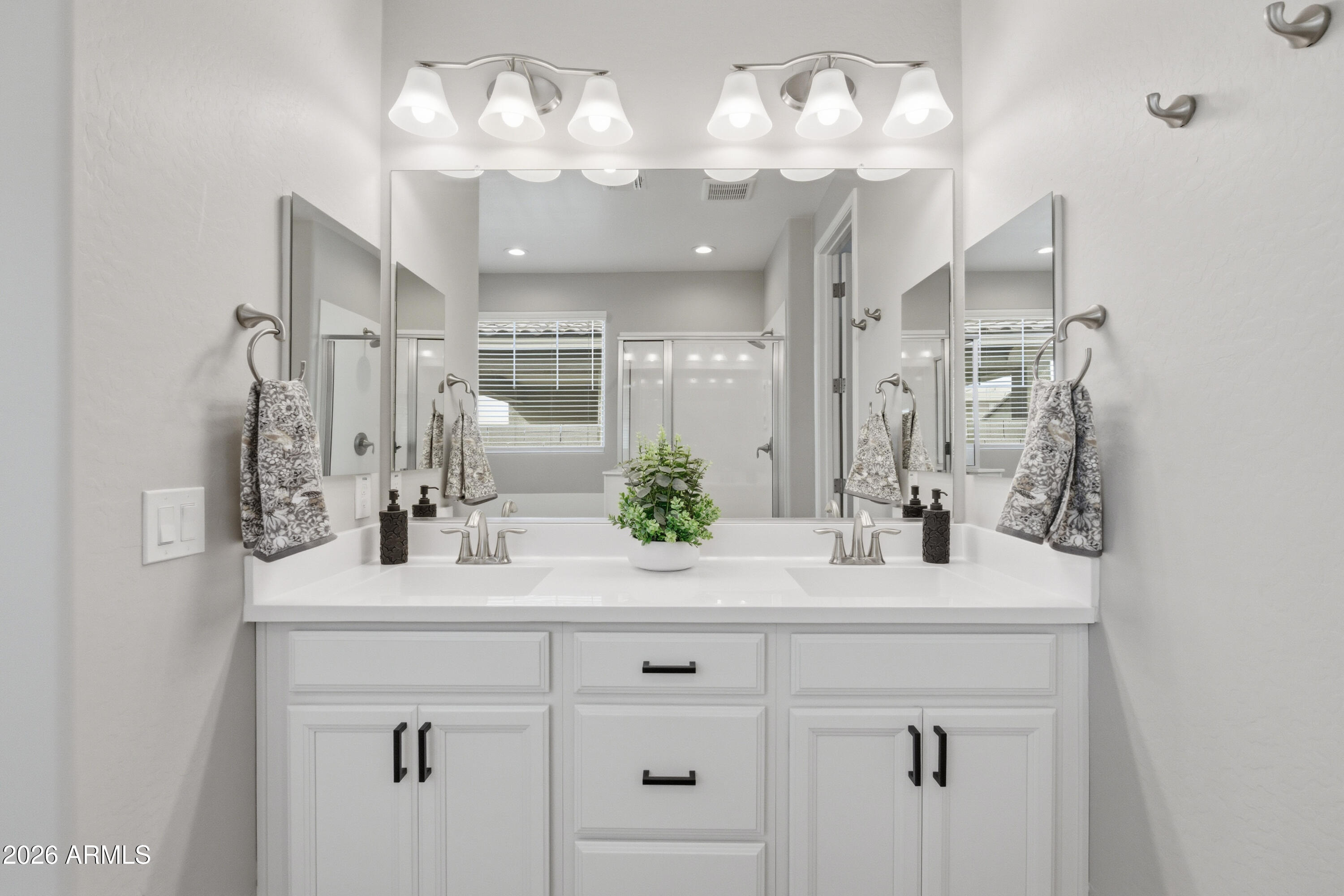 22445 East Marsh Road Queen Creek, AZ 85142 - Photo 38 of 71 a bathroom with a sink vanity and a mirror