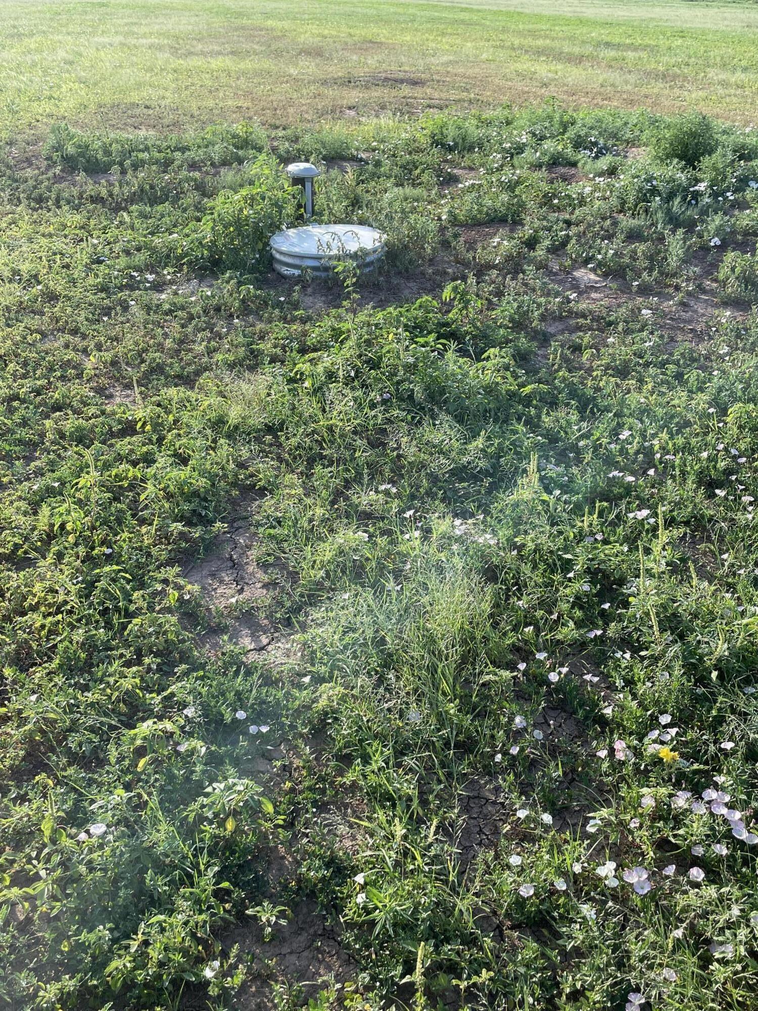 6177 South Hill Road Amarillo, TX 79119 - Photo 4 of 5 well head