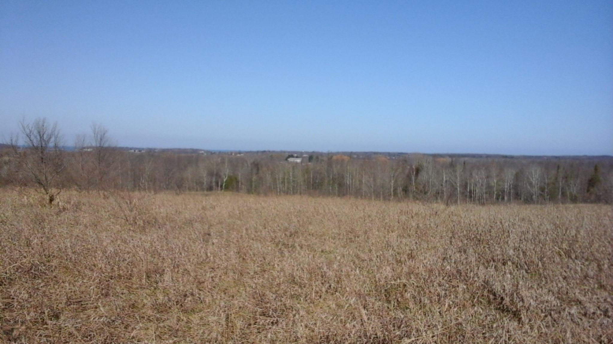 10-ac Frederick Road Arcadia, MI 49613 - Photo 6 of 14 Buildable!