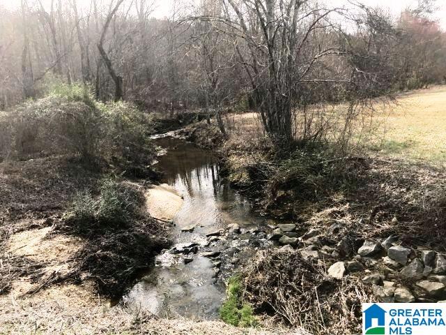 824 County Road 36 Heflin, AL 36264 - Photo 10 of 26