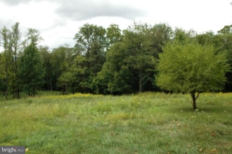 2079 Winchester Road Delaplane, VA 20144 - Photo 3 of 11 Pasture